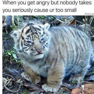 Meet your Posher, Mariah